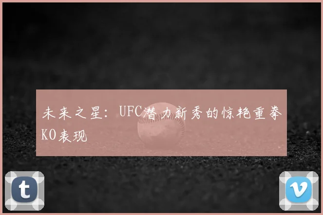 未来之星：UFC潜力新秀的惊艳重拳KO表现