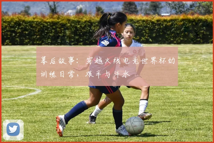 幕后故事:穿越火线电竞世界杯的训练日常,艰辛与汗水