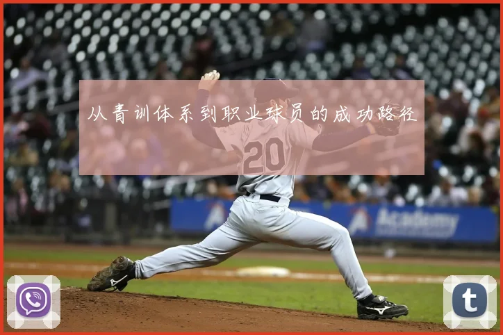 从青训体系到职业球员的成功路径