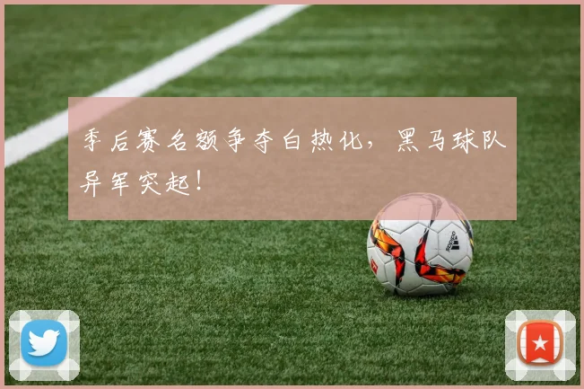 季后赛名额争夺白热化，黑马球队异军突起！
