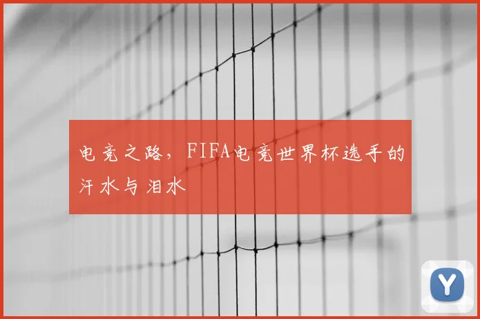 电竞之路,FIFA电竞世界杯选手的汗水与泪水