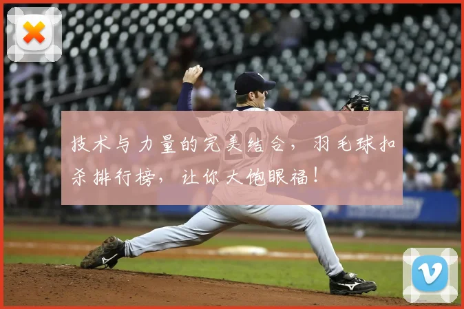 技术与力量的完美结合,羽毛球扣杀排行榜,让你大饱眼福!