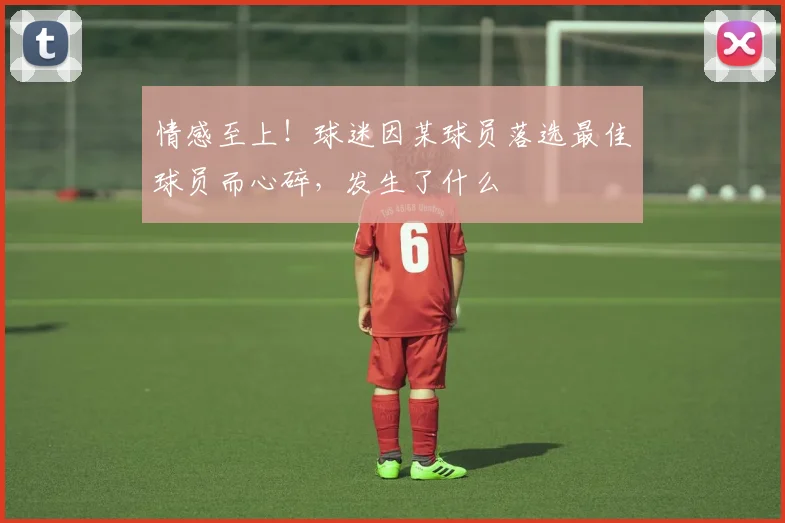 情感至上!球迷因某球员落选最佳球员而心碎,发生了什么