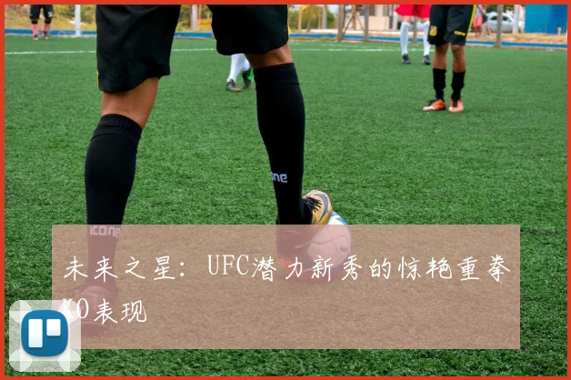 未来之星：UFC潜力新秀的惊艳重拳KO表现