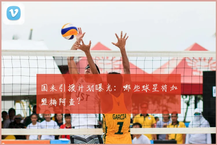 国米引援计划曝光:哪些球星将加盟梅阿查?