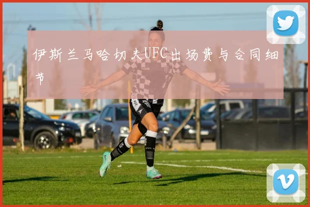 伊斯兰马哈切夫UFC出场费与合同细节
