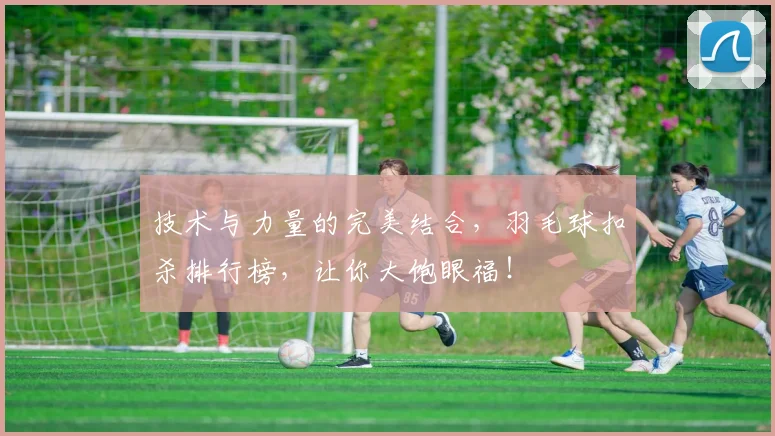 技术与力量的完美结合,羽毛球扣杀排行榜,让你大饱眼福!
