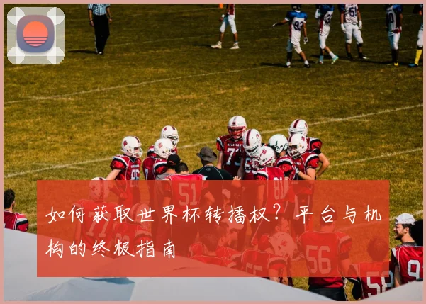 如何获取世界杯转播权？平台与机构的终极指南